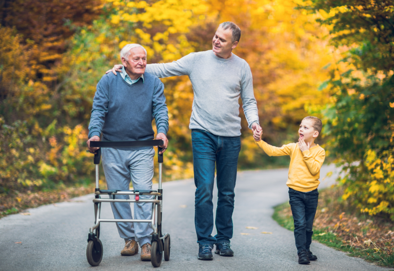 An elderly man, an adult man and a little girl walk down a road with trees with autumn foliage. The elderly man uses a walker.