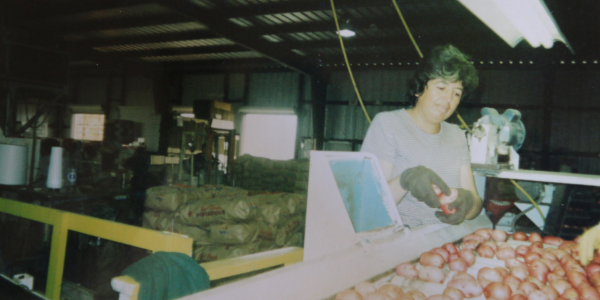 Maria Rodriguez Rodriguez, the author’s mother, is pictured working at a potato packing house.