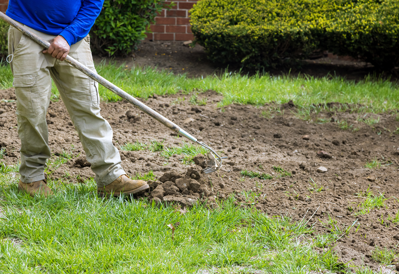 A landscaper uses a rake to break up turf.