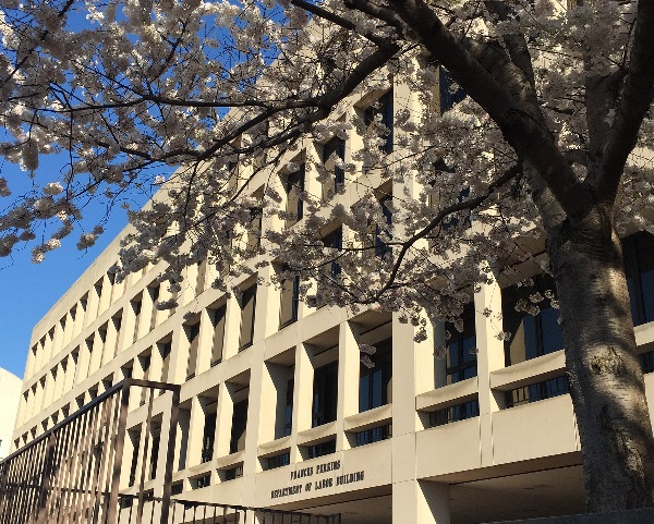 A strip of film bearing the image of the Frances Perkins Building’s exterior.