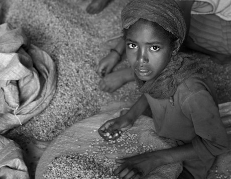 ethiopia-coffee-girls-small.jpg