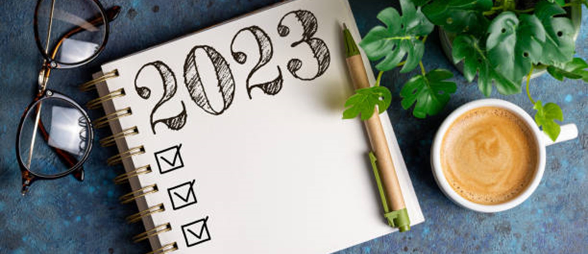 Overhead photo of desk with brown glasses, a blanket notebook reading "2023", a pen and a green leafy plant.