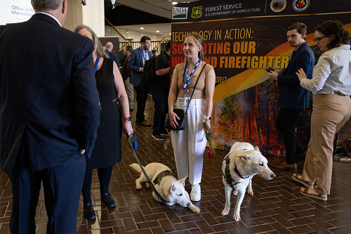 Two exhibitors hold the leashes of service dogs while chatting with attendees.
