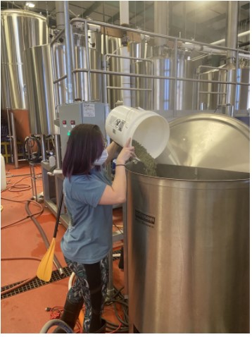 Image of Samantha working in a brewery. She is holding a white bucket, pouring hops into a large silver container. 
