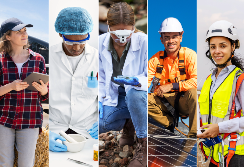 Perspectivas de empleos verdes.  Cinco fotografías de diversos trabajadores en diferentes ocupaciones relacionadas con el medio ambiente: un instalador de paneles solares, una técnica en turbinas eólicas, un químico, una ingeniera agrónoma y una ambientóloga.