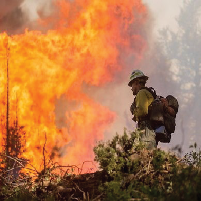 A federal firefighter standing on some fallen trees and debris, trying to put out a forest fire.