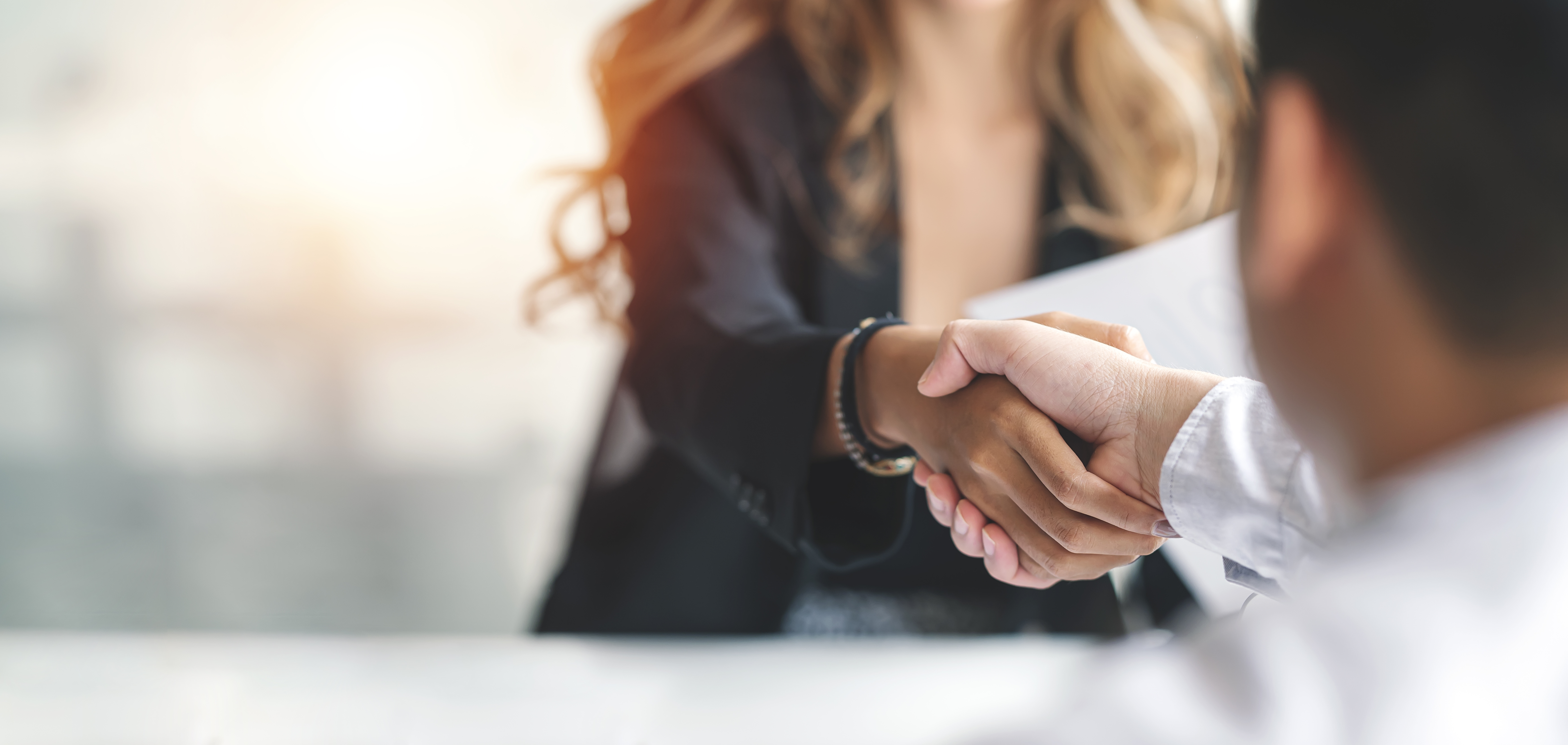 Businesswoman handshake with another professional.