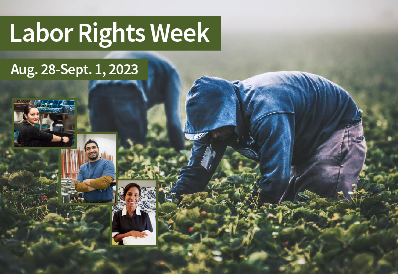 Workers picking berries in a field, washing dishes in a restaurant, folding towels in a hotel and posing in a manufacturing environment. "Labor Rights Week, Aug. 28-Sept. 1, 2023.".