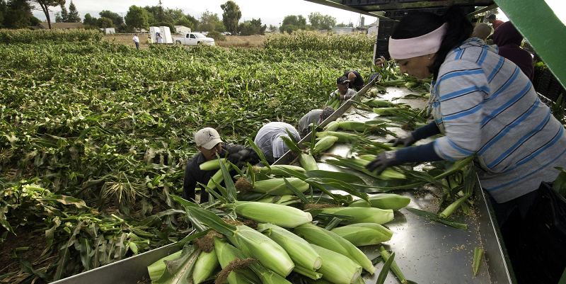 Advancing the Migrant Worker Protection Goals of the USMCA | U.S.