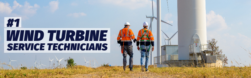 Photo of two workers wearing fall protection walking wind turbines in a field. "Number 1: Wind turbine service technicians."