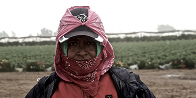 A female farmworker, protecting her skin with long sleeves, cap and scarves, stands by a field.