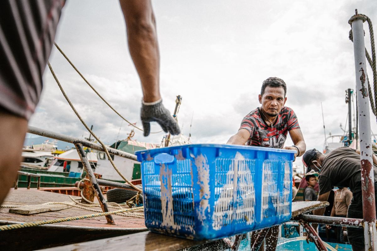 A worker grabs a blue basket full of fish on a dock.