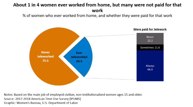 Pie chart shows 1 in 4 women have ever worked from home.