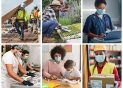 Collage of diverse Hispanic workers in a variety of occupations