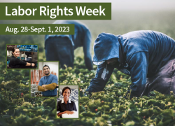 Workers picking berries in a field, washing dishes in a restaurant, folding towels in a hotel and posing in a manufacturing environment. "Labor Rights Week, Aug. 28-Sept. 1, 2023.".