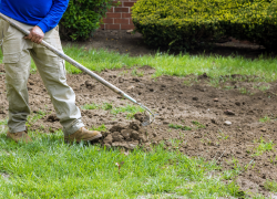 A landscaper uses a rake to break up turf.