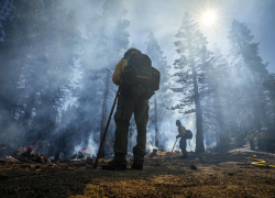 Two wildland firefighters stand guard over a prescribed burn area in a forest, seen from a low angle. The sunlight streams down dramatically through the smoke.