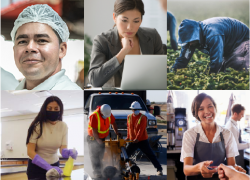 Collage shows workers in a variety of professional settings - food packaging, office, agriculture, education, construction and food service.