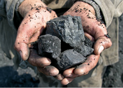 Two hands holding black coal.
