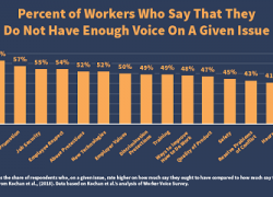 Percent of Workers Who Say That They Do Not Have Enough Voice On A Given Issue Data Graph.