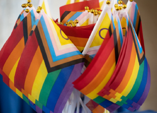 A collection of Progress Pride flags bearing the colors of the rainbow; white, pink and blue stripes to represent trans people; black and brown stripes to represent marginalized communities of color; and a yellow circle with a purple circumference to represent intersex people.