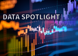 Data Spotlight