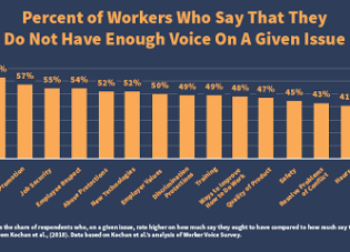 Percent of Workers Who Say That They Do Not Have Enough Voice On A Given Issue Data Graph.